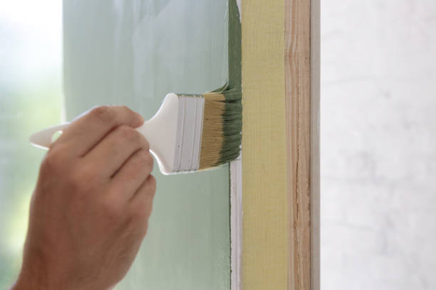 Professional Mold Removal in Norwood, NC