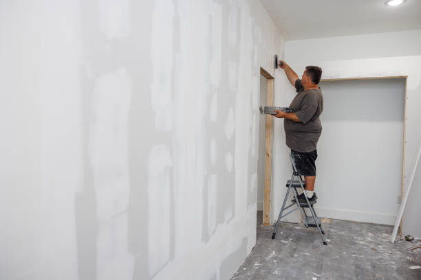 Mold Odor Removal Services in Norwood, NC