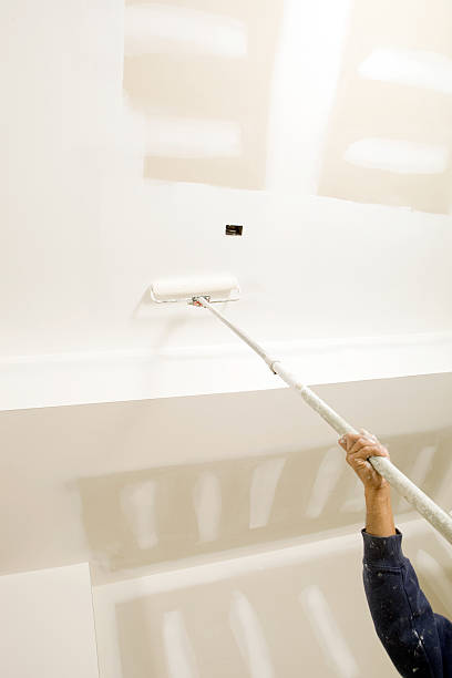 Best Commercial Mold Inspection  in Norwood, NC